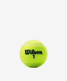 Wilson Championship Extra Duty 3 Ball Can