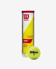 Wilson Championship Extra Duty 4 Ball Can (18 Can Case)