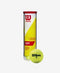 Wilson Championship Extra Duty 4 Ball Can
